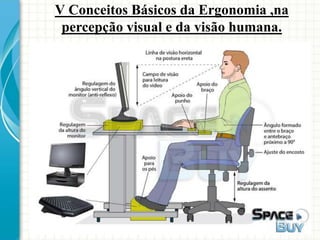 V Conceitos Básicos da Ergonomia ,na
percepção visual e da visão humana.
 