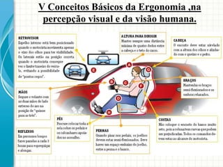 V Conceitos Básicos da Ergonomia ,na
percepção visual e da visão humana.
 