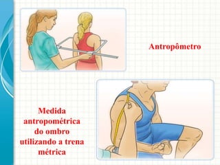 Antropômetro
Medida
antropométrica
do ombro
utilizando a trena
métrica
 