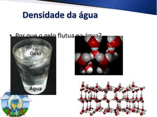 Densidade da água

• Por que o gelo flutua na água?
 