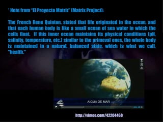 * Note from “El Proyecto Matriz” (Matrix Project):

The French Rene Quinton, stated that life originated in the ocean, and
that each human body is like a small ocean of sea water in which the
cells float. If this inner ocean maintains its physical conditions (pH,
salinity, temperature, etc.) similar to the primeval ones, the whole body
is maintained in a natural, balanced state, which is what we call,
"health."




                                   http://vimeo.com/42204468
 