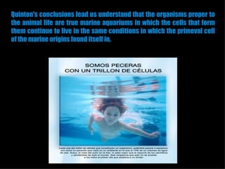 Quinton's conclusions lead us understand that the organisms proper to
the animal life are true marine aquariums in which the cells that form
them continue to live in the same conditions in which the primeval cell
of the marine origins found itself in.
 