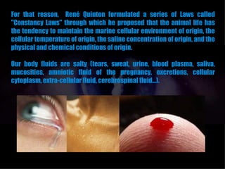 For that reason, René Quinton formulated a series of Laws called
"Constancy Laws" through which he proposed that the animal life has
the tendency to maintain the marine cellular environment of origin, the
cellular temperature of origin, the saline concentration of origin, and the
physical and chemical conditions of origin.

Our body fluids are salty (tears, sweat, urine, blood plasma, saliva,
mucosities, amniotic fluid of the pregnancy, excretions, cellular
cytoplasm, extra-cellular fluid, cerebrospinal fluid...).
 