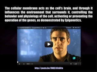 The cellular membrane acts as the cell's brain, and through it
influences the environment that surrounds it, controlling the
behavior and physiology of the cell, activating or preventing the
operation of the genes, as demonstrated by Epigenetics.




                      http://youtu.be/8WjFzGtdA1o
 