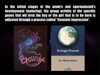 In the initial stages of the ovule's and spermatozoid's
development (maturing), the group activity of the specific
genes that wil form the boy or the girl that is to be born is
adjusted through a process called “Genomic Impression”.
 