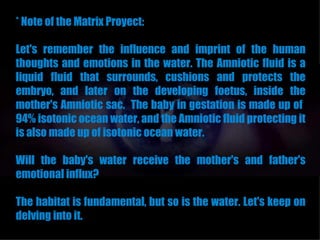 * Note of the Matrix Proyect:

Let's remember the influence and imprint of the human
thoughts and emotions in the water. The Amniotic fluid is a
liquid fluid that surrounds, cushions and protects the
embryo, and later on the developing foetus, inside the
mother's Amniotic sac. The baby in gestation is made up of
94% isotonic ocean water, and the Amniotic fluid protecting it
is also made up of isotonic ocean water.

Will the baby's water receive the mother's and father's
emotional influx?

The habitat is fundamental, but so is the water. Let's keep on
delving into it.
 