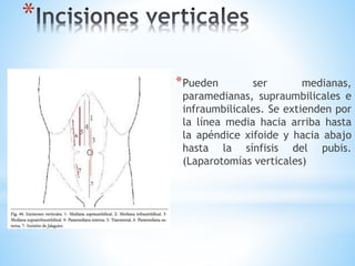 *
*Pueden ser medianas,
paramedianas, supraumbilicales e
infraumbilicales. Se extienden por
la línea media hacia arriba hasta
la apéndice xifoide y hacia abajo
hasta la sínfisis del pubis.
(Laparotomías verticales)
 