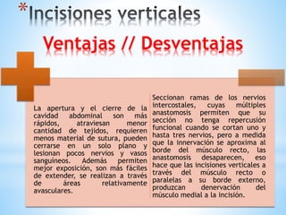 Ventajas // Desventajas
*
La apertura y el cierre de la
cavidad abdominal son más
rápidos, atraviesan menor
cantidad de tejidos, requieren
menos material de sutura, pueden
cerrarse en un solo plano y
lesionan pocos nervios y vasos
sanguíneos. Además permiten
mejor exposición, son más fáciles
de extender, se realizan a través
de áreas relativamente
avasculares.
Seccionan ramas de los nervios
intercostales, cuyas múltiples
anastomosis permiten que su
sección no tenga repercusión
funcional cuando se cortan uno y
hasta tres nervios, pero a medida
que la innervación se aproxima al
borde del músculo recto, las
anastomosis desaparecen, eso
hace que las incisiones verticales a
través del músculo recto o
paralelas a su borde externo,
produzcan denervación del
músculo medial a la incisión.
 
