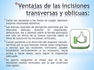 *
*Como son paralelas a las líneas de Langer obtienen
mejores resultados estéticos.
*Las fuerzas laterales de disrupción ejercidas por los
músculos oblicuos durante la respiración,
defecación, tos y vómitos sobre la herida quirúrgica
son solo un tercio de la fuerza ejercida sobre la
línea de sutura en las incisiones verticales.
*Cursan paralelas a la dirección del paquete vásculo-
nervioso por lo que lesionan menos vasos sanguíneos
y nervios que las incisiones verticales; pueden
extenderse verticalmente si es necesario, hacia
arriba o hacia abajo, para lograr la exposición
adecuada.
*Su aporte sanguíneo es mejor que el de las
incisiones medias verticales, por lo que cicatrizan
más rápido.
 