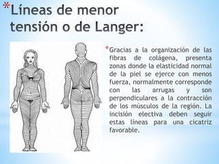 *
*Gracias a la organización de las
fibras de colágena, presenta
zonas donde la elasticidad normal
de la piel se ejerce con menos
fuerza, normalmente corresponde
con las arrugas y son
perpendiculares a la contracción
de los músculos de la región. La
incisión electiva deben seguir
estas líneas para una cicatriz
favorable.
 