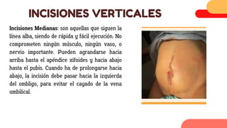 Incisiones quirurgicas encirugia .pdf.pdf