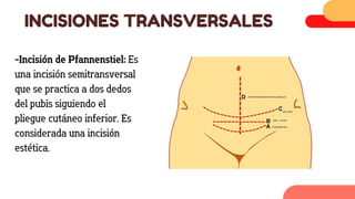 Incisiones quirurgicas encirugia .pdf.pdf