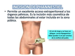 • Permite un excelente acceso extraperitoneal a los
órganos pélvicos. Es la incisión más cosmética de
todas las abdominales al estar incluida en la zona
púbica.
12 cm de largo y se hace un
pliegue curvo hipogastrico
debe quedar 5 cm por encima
de la sinfisis del pubis
 