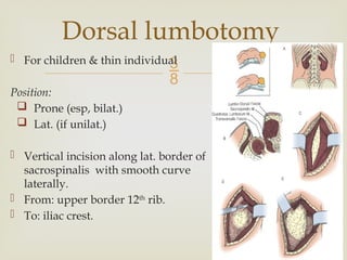 Dorsal Racket Incision abdominal, loin and groin Incisions .pptx