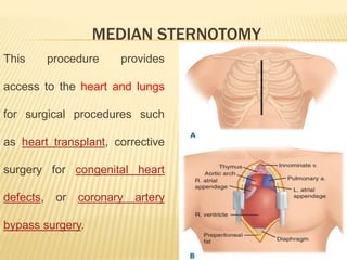 surgical Incisions - sadeghi mazloumi | PPT