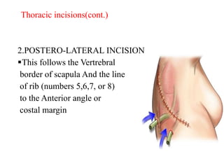 2.POSTERO-LATERAL INCISION
This follows the Vertrebral
border of scapula And the line
of rib (numbers 5,6,7, or 8)
to the Anterior angle or
costal margin
Thoracic incisions(cont.)
 