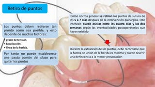 Retiro de puntos
Los puntos deben retirarse tan
pronto como sea posible, y esto
depende de muchos factores:
• grado de tensión.
• Localización.
• línea de la herida.
Por tanto no puede establecerse
una pauta común del plazo para
quitar los puntos
Como norma general se retiran los puntos de sutura de
los 5 a 7 días después de la intervención quirúrgica. Este
intervalo puede oscilar entre los cuatro días y las dos
semanas según las eventualidades postoperatorias que
hayan existido
Durante la extracción de los puntos, debe recordarse que
la fuerza de unión de la herida es mínima y puede ocurrir
una dehiscencia a la menor provocación
 