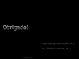 Caíque A. Siqueira
caiquesiqueira@anatomiadental.com.br
http://www.anatomiadental.com.br
 