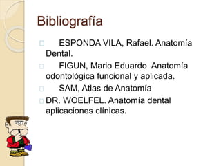 Bibliografía
ESPONDA VILA, Rafael. Anatomía
Dental.
FIGUN, Mario Eduardo. Anatomía
odontológica funcional y aplicada.
SAM, Atlas de Anatomía
DR. WOELFEL. Anatomía dental
aplicaciones clínicas.
 