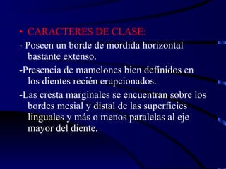 CARACTERES DE CLASE: - Poseen un borde de mordida horizontal bastante extenso. -Presencia de mamelones bien definidos en los dientes recién erupcionados. -Las cresta marginales se encuentran sobre los bordes mesial y distal de las superficies linguales y más o menos paralelas al eje mayor del diente. 