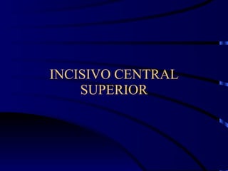 INCISIVO CENTRAL SUPERIOR 