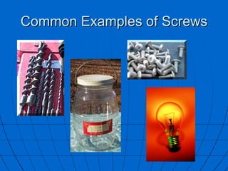 Common Examples of Screws 