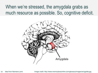 When we’re stressed, the amygdala grabs as
much resource as possible. So, cognitive deficit.
Idea from Naintara Land Image credit: http://www.memorylossonline.com/glossary/images/amygdala.jpg44
 