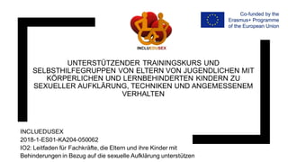 IO2: Leitfaden für Fachkräfte, die Eltern und ihre Behinderungen ...