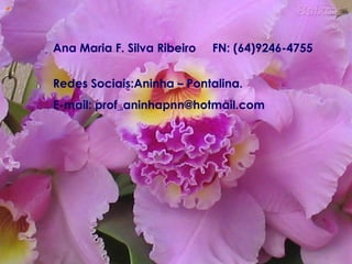 “
Ana Maria F. Silva Ribeiro FN: (64)9246-4755
Redes Sociais:Aninha – Pontalina.
E-mail: prof_aninhapnn@hotmail.com
 