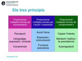 Els tres principis
www.edubcn.cat
Proporcionar
múltiples formes de
representació
Proporcionar
múltiples formes per
l’acció i l’expressió
Proporcionar
múltiples formes de
comprometre’s
Percepció
Llenguatge,
expressió i símbols
Comprensió
Acció física
Expressió i
comunicació
Funcions
executives
Captar l’interès
Mantenir l’esforç i
la persistència
Autoregulació
 