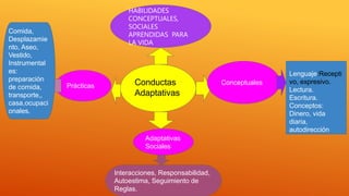 Conductas
Adaptativas
HABILIDADES
CONCEPTUALES,
SOCIALES
APRENDIDAS PARA
LA VIDA
Conceptuales
Lenguaje:Recepti
vo, expresivo.
Lectura.
Escritura.
Conceptos:
Dinero, vida
diaria,
autodirección
Adaptativas
Sociales
Interacciones, Responsabilidad,
Autoestima, Seguimiento de
Reglas.
Prácticas
Comida,
Desplazamie
nto, Aseo,
Vestido,
Instrumental
es:
preparación
de comida,
transporte,,
casa,ocupaci
onales.
 