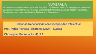 NUMERALIA
Escuelas de educación básica en el país 224,326- 11% atienden niños con discapacidad intelectual.
Estados con mayor atención a niños con Discapacidad Intelectual Coahuila, Tabsco y Zacatecas.
Estados con menor atención Oaxaca, Michoacan y Guanajuato.
Personas Reconocidas con Discapacidad Intelectual
Prof. Pablo Pieneda Sindrome Down -Europa
Christopher Burke actor -E.U.A.
 