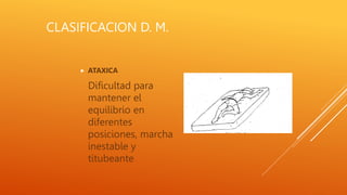 CLASIFICACION D. M.
 ATAXICA
Dificultad para
mantener el
equilibrio en
diferentes
posiciones, marcha
inestable y
titubeante
 