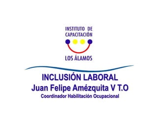 INCLUSIÓN LABORAL
Juan Felipe Amézquita V T.O
  Coordinador Habilitación Ocupacional
 