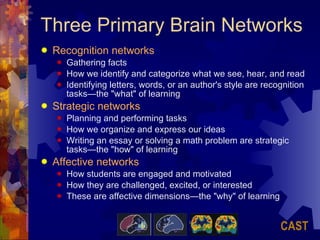 Three Primary Brain Networks Recognition networks Gathering facts How we identify and categorize what we see, hear, and read  Identifying letters, words, or an author's style are recognition tasks—the "what" of learning Strategic networks Planning and performing tasks  How we organize and express our ideas  Writing an essay or solving a math problem are strategic tasks—the "how" of learning Affective networks How students are engaged and motivated  How they are challenged, excited, or interested These are affective dimensions—the "why" of learning CAST 