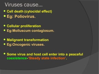 Viruses cause…
 Cell death (cytocidal effect)
Eg: Poliovirus.
 Cellular proliferation
 Eg:Molluscum contagiosum.
 Malignant transformation
 Eg:Oncogenic viruses.
 Some virus and host cell enter into a peaceful
coexistence-’Steady state infection’.
 