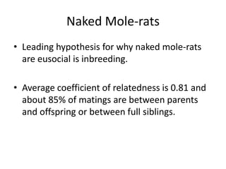 Inclusive Fitness Hamilton Rule | PPTX