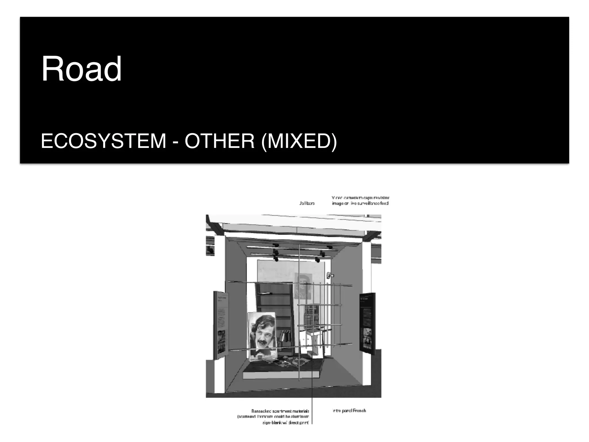 ECOSYSTEM - OTHER (MIXED)
Road
 