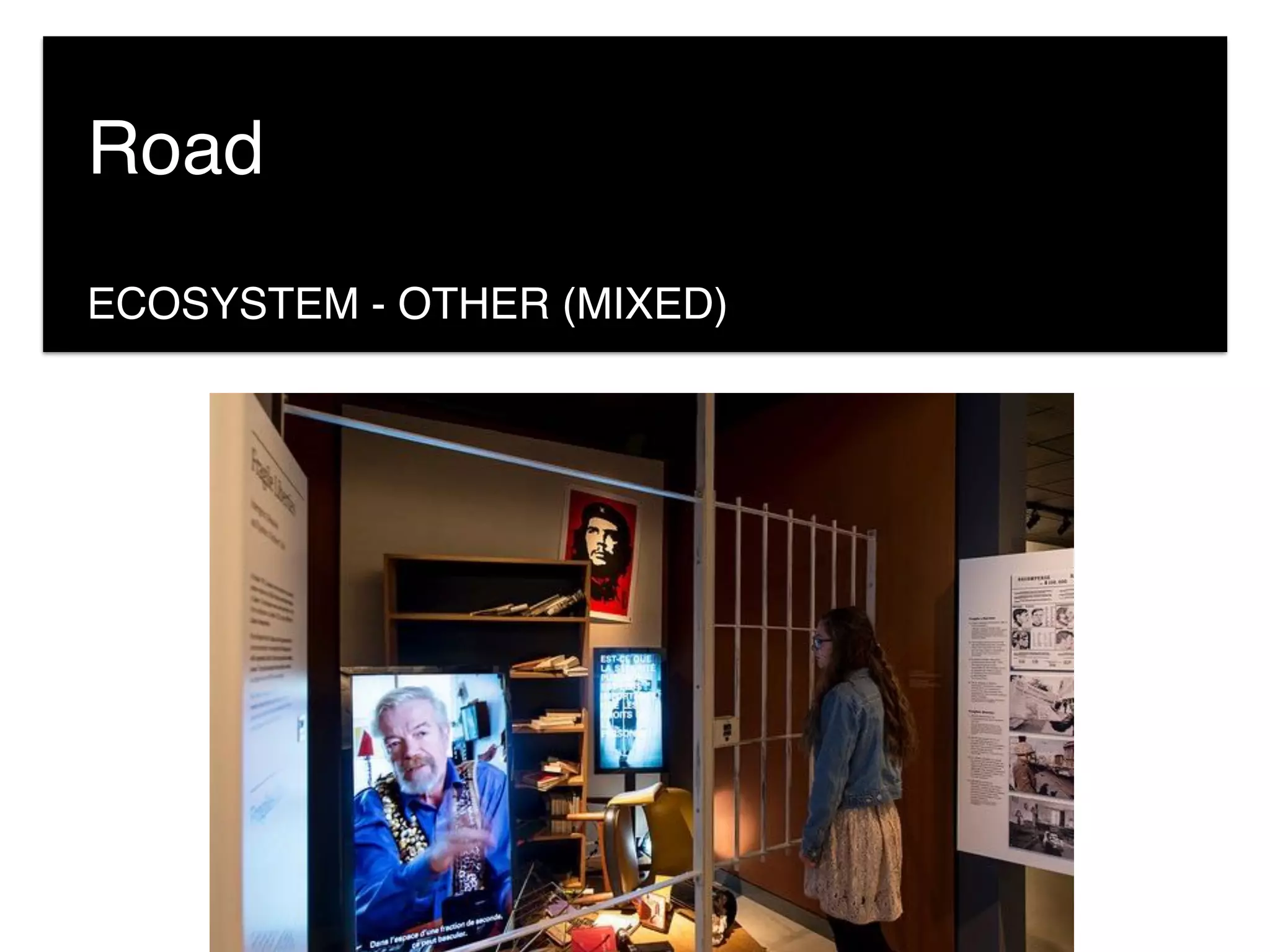 ECOSYSTEM - OTHER (MIXED)
Road
 