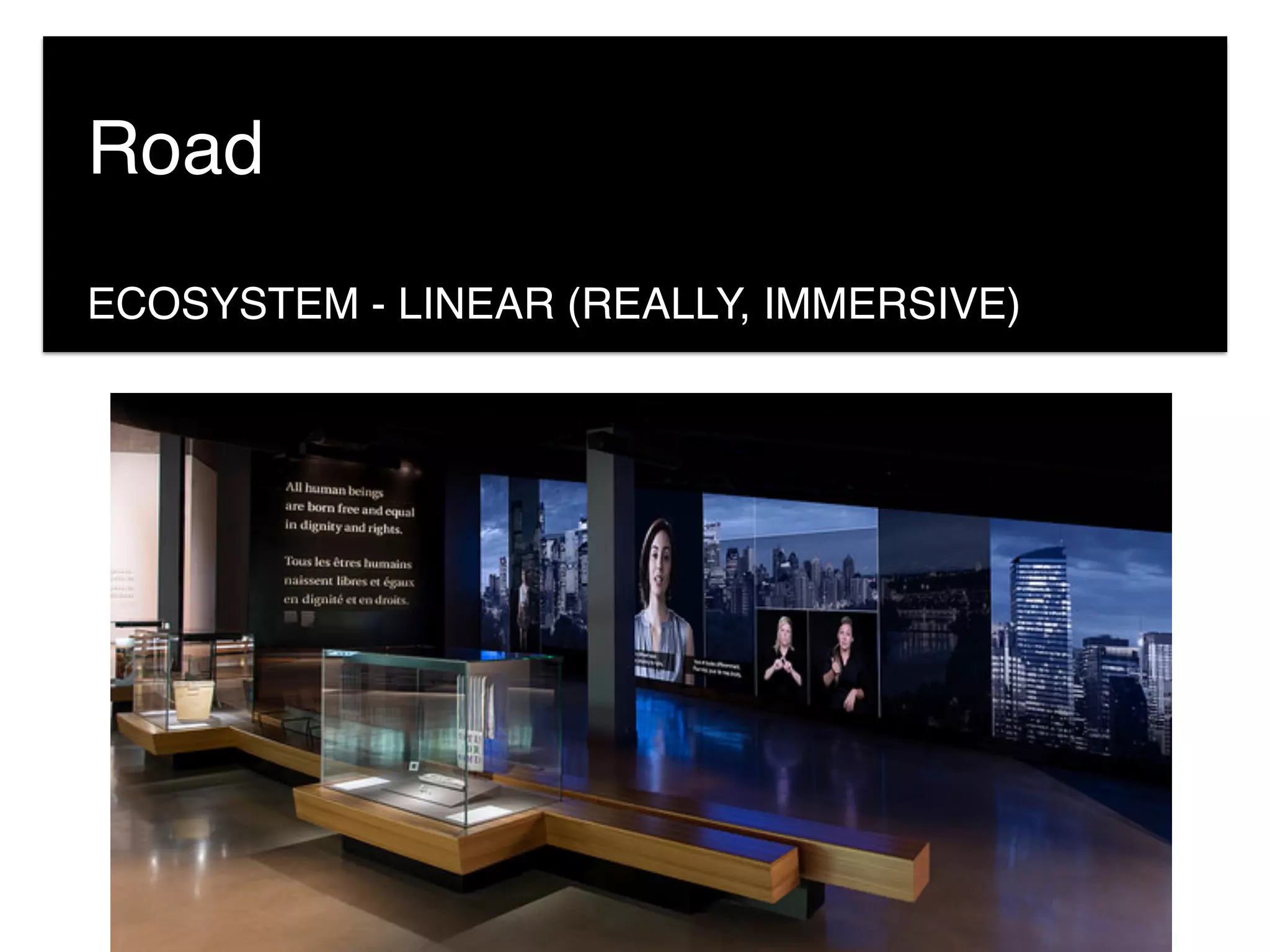 ECOSYSTEM - LINEAR (REALLY, IMMERSIVE)
Road
 