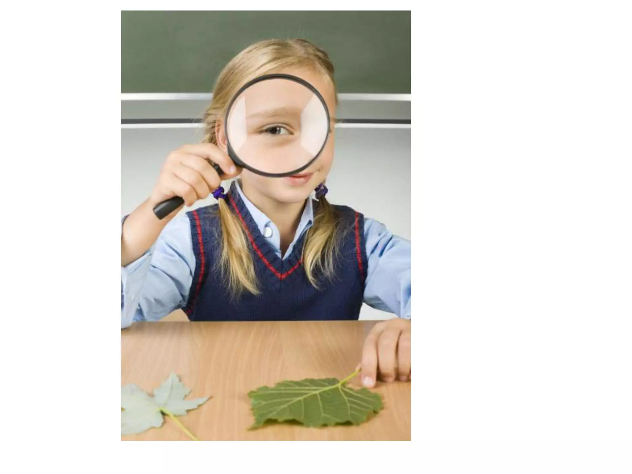 Trends from Research-International -Canada-Alberta-IT and ET 