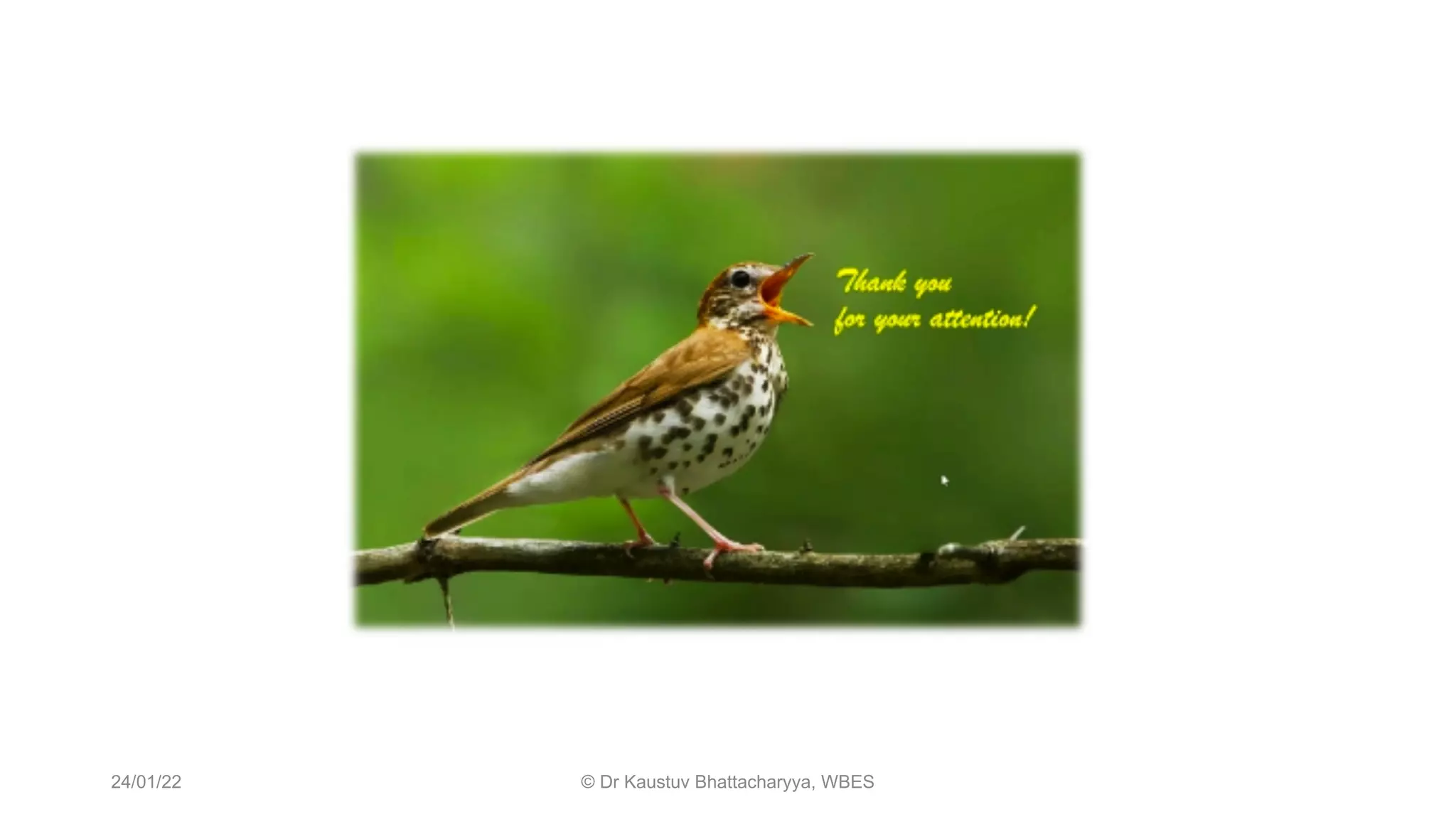 24/01/22 © Dr Kaustuv Bhattacharyya, WBES
 