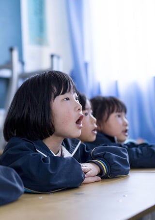 28 Mainstreaming Inclusive Education: Sharing Good Practices
 