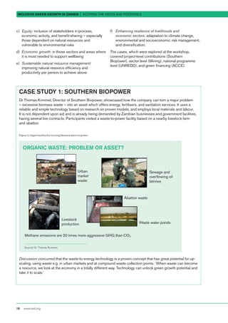 Inclusive Green Growth in Zambia - Scoping the Needs and Potentials | PDF