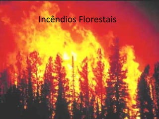 Incêndios Florestais 