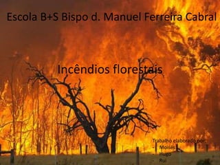 Escola B+S Bispo d. Manuel Ferreira Cabral 
Incêndios florestais 
Trabalho elaborado por: 
- Moisés 
- Hugo 
- Rui 
 