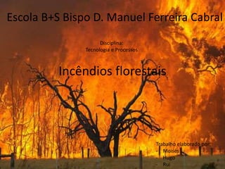 Escola B+S Bispo D. Manuel Ferreira Cabral 
Incêndios florestais 
Trabalho elaborado por: 
- Moisés 
- Hugo 
- Rui 
Disciplina: 
Tecnologia e Processos 
 