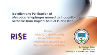 Group 1:
Paola G. Caballero León
Kenny Colón Colón
Alejandra M. De Jesús Soto
Anthony Hernández Rivera
Isolation and Purification of
Mycobacteriophages named as Incognito and
Serotinus from Tropical Soils of Puerto Rico
Dr. Michael Rubin
RISE Program
University of Puerto Rico at Cayey
 