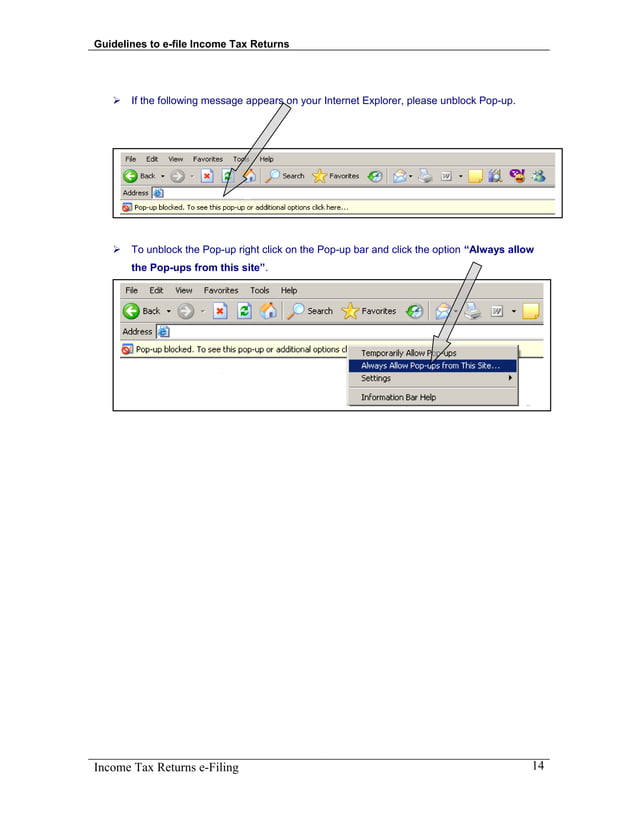 Income Tax Return E-File guideline | PDF