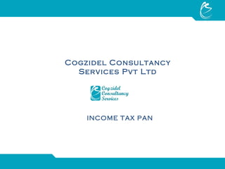 Cogzidel Consultancy Services Pvt Ltd INCOME TAX PAN 